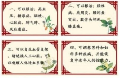 非凡成就杰出医学家——任八金