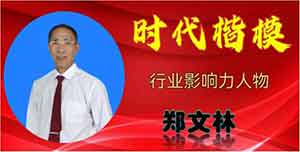 大国风范 时代楷模 建昌县润玉再生能源董事长——郑文林