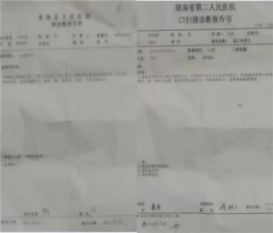 医学泰斗陈海林 以中医药之智 攻克世界医学难题