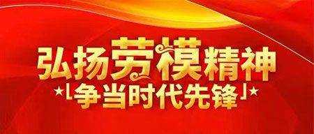 【“五一”劳动节专题报道】 山东省冠县梅花拳传承协会会长——高增友