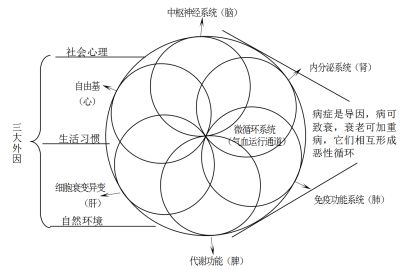 第三代抗衰食品药海天奇珍的研究