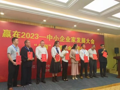 2025蛇年大拜年 中国当代国学楷模—王挥翔