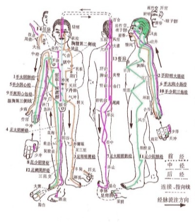 回顾反伪气功的实质及其影响