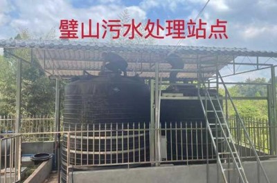 擦亮生态底色 绘就环保蓝图——重庆润无声环境工程有限公司董事长朱彪