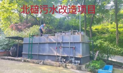 擦亮生态底色 绘就环保蓝图——重庆润无声环境工程有限公司董事长朱彪