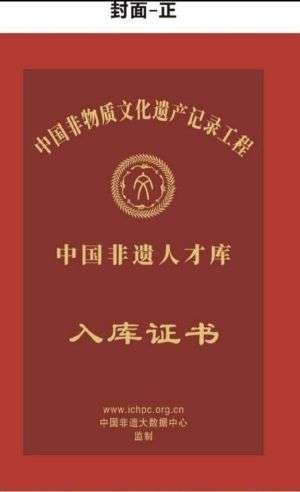 热烈祝贺朱光宗师荣获国家域名注册证书